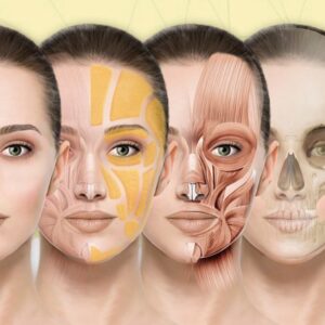 Novecošanās morfotipi 5TIP, LĀPPOS Nr. TIP2026/73